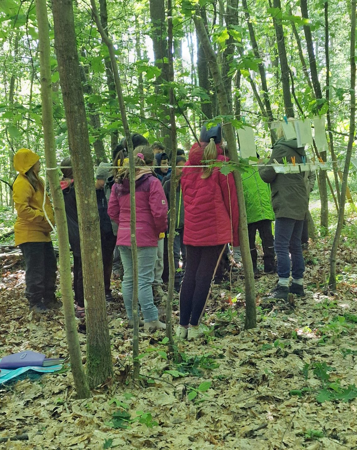 Stolz präsentieren die Schüler:innen der Anne-Frank-Realschule Ettlingen ihren Wanderpokal, Scheck und ihre Urkunde. Mit ihnen freuen sich Klaus Albrecht, Zentrum für Schulqualität und Lehrerbildung (hintere Reihe 1. v. l.), Patrick Scheef von der Leichtathletik-Gemeinschaft Region Karlsruhe (hintere Reihe 3. v. l.), Gerda Desserich, Mitglied Sportausschuss Stadt Karlsruhe (hintere Reihe 4. v. l.) und Sparkassendirektor Thomas Schroff, stv. Vorstandsvorsitzender der Sparkasse Karlsruhe (1. v. r.).